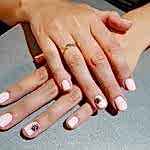 Фотогалерея